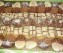 Chocoladekoekjes