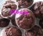 Chocolademuffins